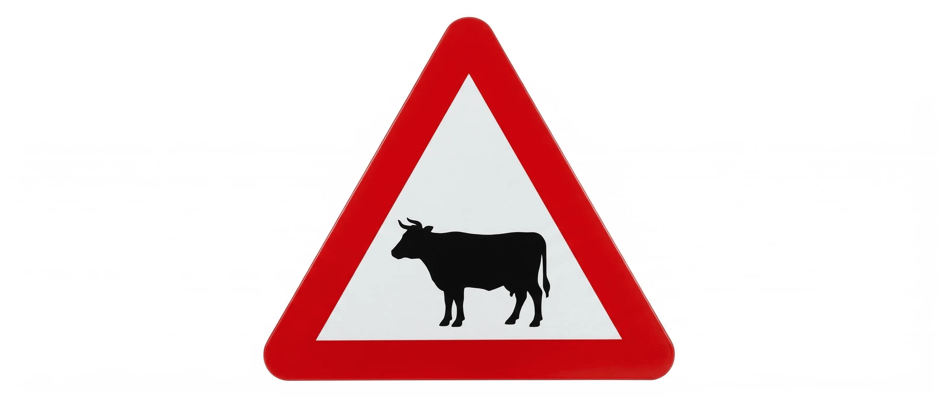 Soru 28 görseli