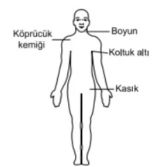 Soru 6 görseli